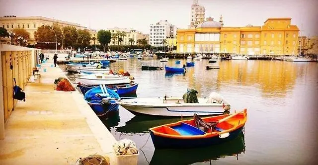 Comfort As Usual Bari